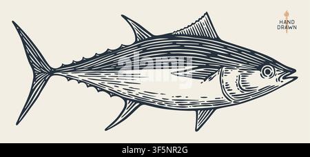 Tonno, pesce, sketch Illustrazione Vettoriale