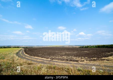 Terreno agricolo con un sentiero sterrato che si snoda attraverso campi di terreno scuro arati sotto un vasto cielo blu luminoso con nuvole sparse nel paesaggio rurale o Foto Stock