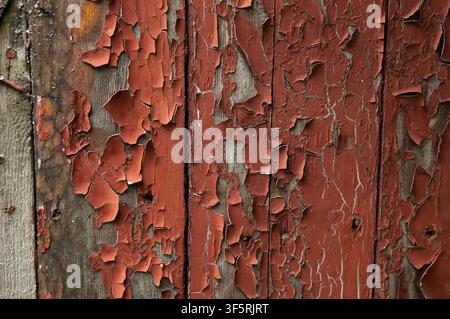 Vecchie assi di legno con vernice marrone scrostata che creano uno sfondo ruvido con texture grunge. Foto Stock
