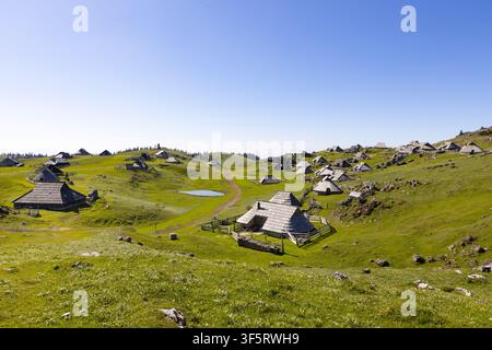 Vista di capanne tradizionali in legno sui pascoli montani verdi di Velika Planina, con colline ondulate e un cielo blu chiaro a Velika Planina, Kamnik, S Foto Stock