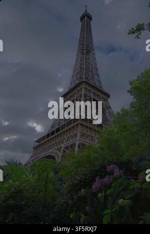 Vista a bassa angolazione della iconica Torre Eiffel incorniciata da fogliame verde e fiori viola sotto un cielo drammatico e scuro a Parigi, Francia. Foto Stock