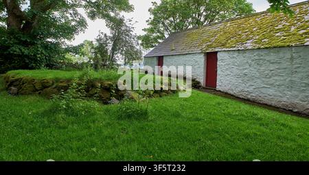 Edificio secondario tradizionale in pietra bianca con tetto di ardesia muschioso e porte di legno rosse all'Ulster American Folk Park vicino a Omagh, Contea di Tyrone. Foto Stock