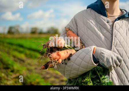 Una donna e un agricoltore tengono carote appena scavate con terra in un giardino illuminato dal sole. La luce calda e brillante sul suo viso evidenzia prodotti biologici autentici e terrosi raccolti dal campo. Foto Stock