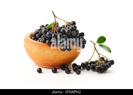 Bacche di aronia appena raccolte in una ciotola di legno, isolate su sfondo bianco. Foto Stock