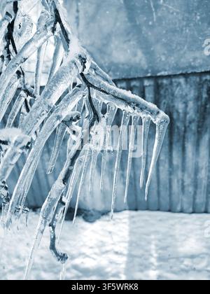 Un ramo di albero con una forte copertura di ghiaccio. Il ramo ghiacciato coperto da uno spesso strato di ghiaccio con lunghe e affilate gocce di ghiaccio in una giornata invernale. Rami ghiacciati. Vista invernale. Sfondo naturale. Sfondo naturale. Foto Stock