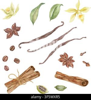 Set di spezie acquerellate con bastoncini di cannella, bacche di vaniglia e fiori, anice stellato, chicchi di caffè, chiodi di garofano e cardamomo isolati su bianco. Vettore EPS. Illustrazione Vettoriale