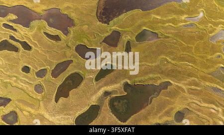 Vista aerea dall'alto di stagni paludosi e vegetazione paludosa dorata che formano schemi naturali astratti a Lauffellsmýrar, Islanda Foto Stock