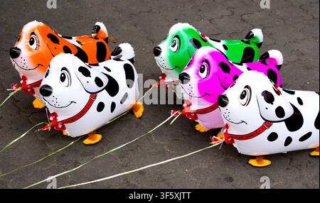Palloncini colorati a forma di cani al guinzaglio Foto Stock
