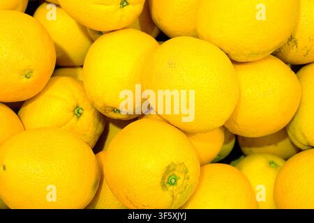 Arance gialle sfondo ad alto contrasto Foto Stock