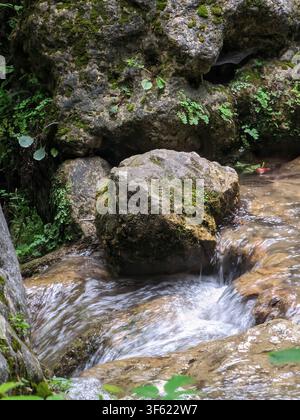 Rocce muschiose e flusso gentile che scorre attraverso una foresta a Mazandaran, Iran Foto Stock