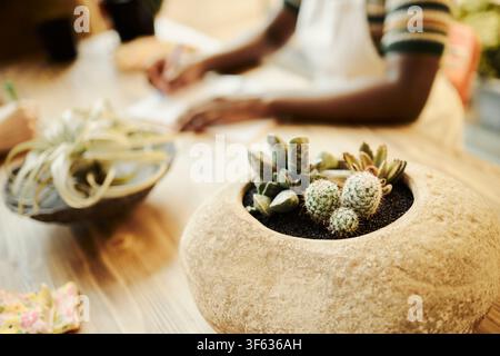 Giovane donna afroamericana che lavora in un negozio di piante, scrive su un taccuino dietro un cactus in vaso. L'immagine rappresenta la piccola impresa e il workshop di giardinaggio, scatto in primo piano Foto Stock