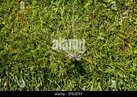 Colpo ad angolo alto di un irrigatore automatico che innaffia il prato verde nel giardino Foto Stock