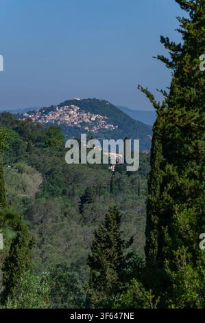 Grecia, Europa sud-orientale, Corfù, un'isola greca al largo della costa nord-occidentale nel Mar Ionio, Pelekas Foto Stock