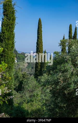 Grecia, Europa sud-orientale, Corfù, un'isola greca al largo della costa nord-occidentale nel Mar Ionio, Pelekas Foto Stock