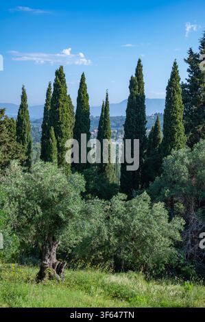 Grecia, Europa sud-orientale, Corfù, un'isola greca al largo della costa nord-occidentale nel Mar Ionio, Pelekas Foto Stock