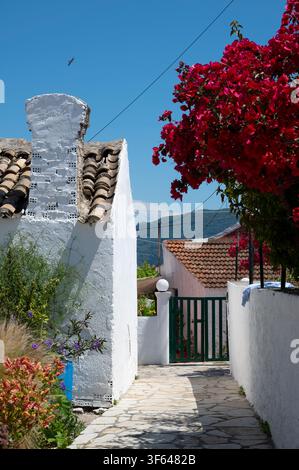 Grecia, Europa sudorientale, Corfù, un'isola greca al largo della costa nord-occidentale nel Mar Ionio, Afionas Foto Stock
