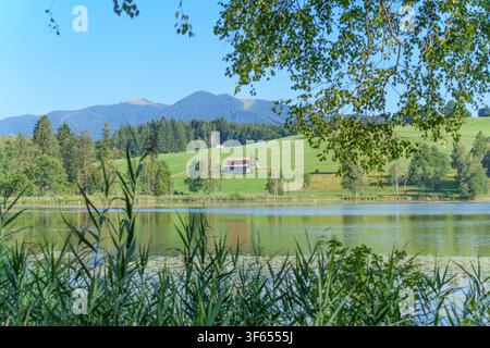 Vista scenografica del lago Soier See a Bad Bayersoien, Bavaria, Germania, con colline verdi, fienili tradizionali in legno e le Alpi sullo sfondo il Foto Stock