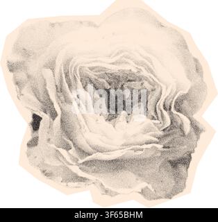 Effetto grana di fotocopia retrò di fiore rosa in mezza tonalità a puntini. Tendenza vettoriale per zines Y2K, poster collage, volantini DIY, grafica artistica per tatuaggi. Punto moderno Illustrazione Vettoriale