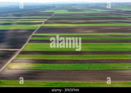 Vista aerea di campi agricoli con colture verdi alternate e schemi di terreno arato scuro a Banatski Brestovac, Vojvodina, Serbia. Foto Stock