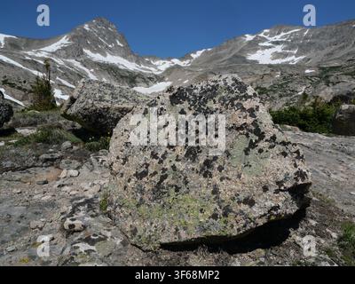 Masso di granito ricoperto di licheni vicino al Blue Lake, Indian Peaks Wilderness, Colorado, USA. Foto Stock