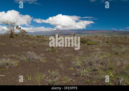 Scattata dall'Uekahuna Overlook all'interno del Parco Nazionale dei Vulcani delle Hawaii, questa veduta mostra il paesaggio drammatico che circonda il cratere di Kīlauea. La Foto Stock