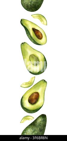 Bordo verticale senza giunzioni in acquerello di avocado. Frutti tropicali verdi semplici, metà tagliate, fette isolate su sfondo bianco. Per confezioni alimentari Foto Stock