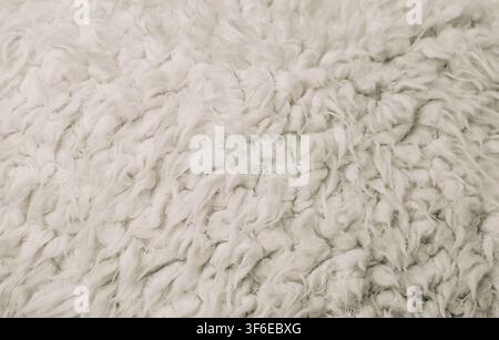 Primo piano della texture di un cappotto in pelle di pecora bianca con fibre di pelliccia naturale morbide e ricciolute. Uno sfondo tessile dettagliato crea una superficie calda e tattile per fas Foto Stock