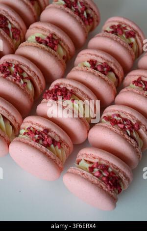 File di macarons alla fragola rosa con ganache al cioccolato bianco e briciole di bacche essiccate in primo piano Foto Stock