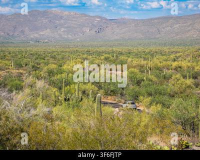 Strada attraverso il distretto delle montagne Rincon del Saguaro National Park fuori Tucson nel sud-est dell'Arizona, USA Foto Stock