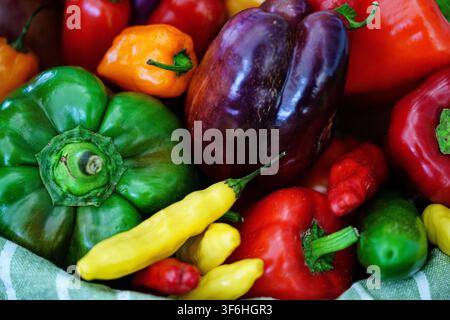 Peperoni freschi sono disposti in un cesto in un mercato contadino locale. Sono visibili colori e dimensioni diverse, che mostrano una varietà di peperoni e peperoncini Foto Stock