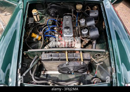 Motore MG MGB Foto Stock