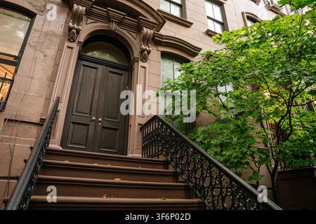 Elegante entrata in pietra marrone di New York con arco in pietra dettagliato, porta in legno scuro e ringhiera in ferro decorativa. Un albero frondoso aggiunge verde al c Foto Stock