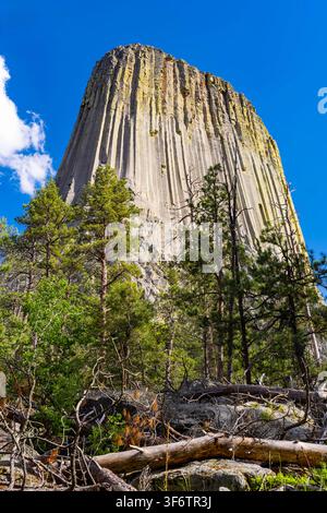 Vista ravvicinata del Monumento Nazionale di Devils Tower che si erge sopra la foresta circostante nel Wyoming Foto Stock