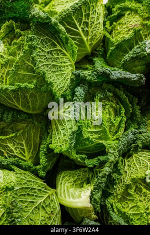 Cavoli verza appena raccolti con foglie verdi strutturate impilati per la vendita Foto Stock