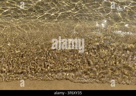 Primo piano di acqua limpida che increspa sulla sabbia dorata. Dettagli nitidi di schiuma di mare e riflessi di luce sulla superficie bagnata della battigia. Foto Stock
