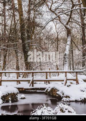 Ponte nel Bois de Vincennes sotto la neve Foto Stock