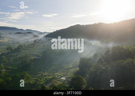 Vista aerea di rigogliose terrazze di riso con nebbia mattutina che scorre sulle colline e luce dorata del sole che filtra attraverso gli alberi a Sidemen, Bali, Indonesia Foto Stock