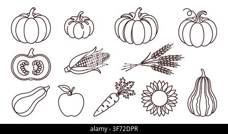 Set di icone vettoriali in linea di raccolta autunnale, zucche, verdure, mais e girasole isolati su sfondo bianco. Illustrazione Vettoriale