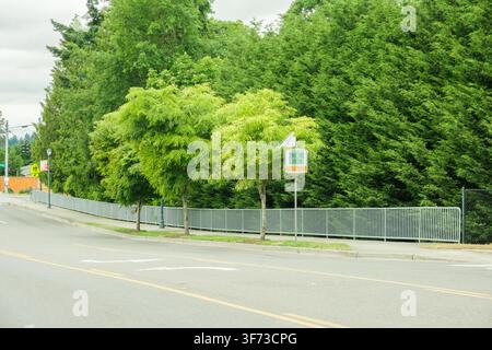 Un cartello digitale a energia solare che mostra "25" accanto a un marciapiede e a un muro fitto di alberi verdi. - 4 aprile 2025 Milton WA, USA Foto Stock