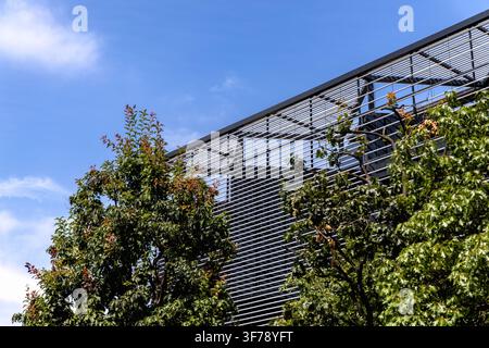 Facciata moderna di edificio con grondaie metalliche si erge dietro alberi verdi frondosi contro un cielo blu brillante a Londra, Inghilterra Foto Stock