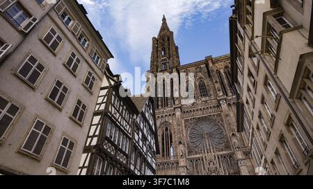 Cattedrale di Strasburgo con la sua intricata facciata gotica che si erge sopra l'architettura tradizionale alsaziana Foto Stock