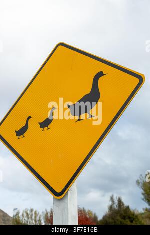 Segnale stradale per l'attraversamento delle anatre, Otago, Nuova Zelanda Foto Stock