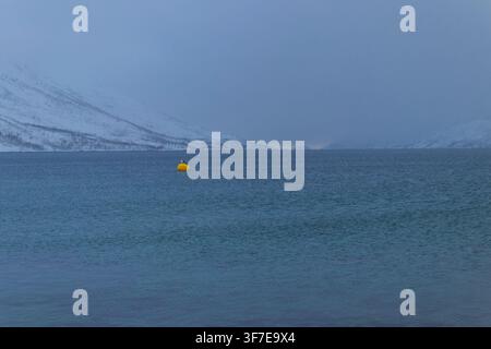 Paesaggio invernale atmosferico del fiordo nebbioso di Ersfjorden con una drammatica e cupa foschia sull'acqua artica, Norvegia Foto Stock