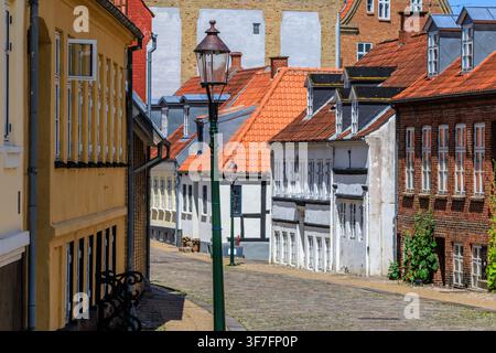 Tranquilla strada acciottolata nella vecchia città di Viborg fiancheggiata da case storiche con tetti di tegole rosse, facciate imbiancate a calce e in mattoni e un lampione tutelato Foto Stock