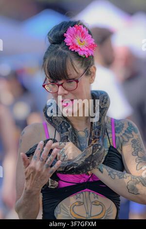Donna con boa constrictor a un festival di strada Foto Stock