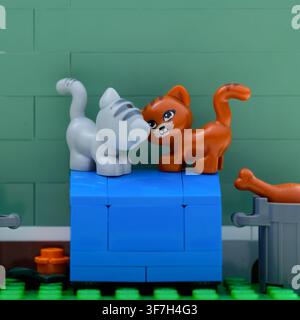 Tambov, Federazione Russa - 03 agosto 2026 Un primo piano di minifigure Lego di gatto grigio e gatto zenzero in piedi insieme su una cassa blu Foto Stock