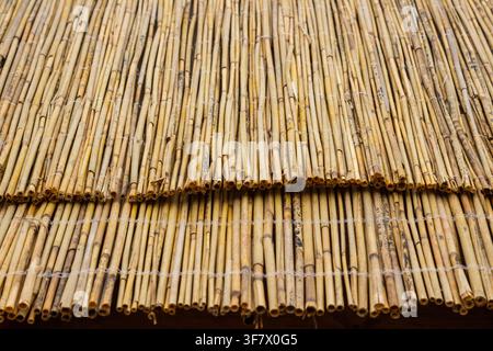 Steli secchi di giunchi sono intrecciati in una copertura del tetto densa su due livelli. Sfondo naturale Foto Stock