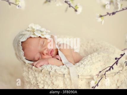 Neonato che dorme pacificamente in un cesto accogliente Foto Stock