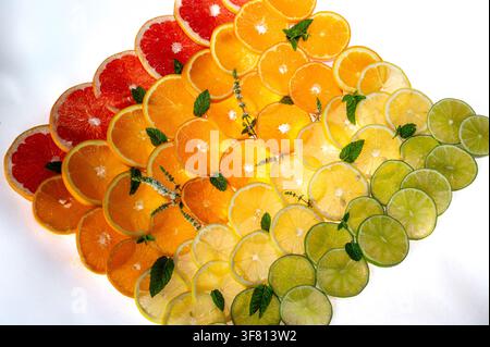 Un flat lay colorato di fette di agrumi in file graduate di pompelmo, arancia, limone e lime con menta e timo, un motivo sano e vivace di frutta ricca di vitamine visto dall'alto Foto Stock