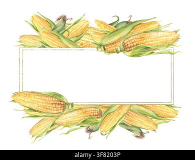 Mazzi di mais mazzi di mais gialli cornice rettangolare dorata. Acquerello Raccolta di verdure con foglie verdi e involucri. Coltura agricola di cereali per il cibo dell'azienda agricola Foto Stock
